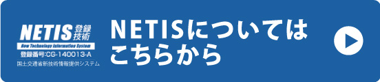 NETISについて